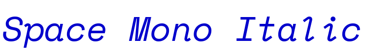 Space Mono Italic الخط