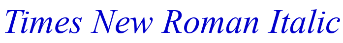 Times New Roman Italic الخط